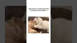 Thumbnail: meme found on YouTube. #memes #viral #youtubeshorts