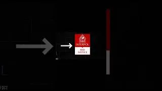 Thumbnail: What is INTERPOL?