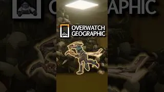 Thumbnail: Backrooms Mizuki - Overwatch Geographic [Ep. 21]