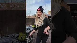 Thumbnail: Trying Out Moto Clean’s Bike Wash Gel!  #bikerchick  #motorcycle