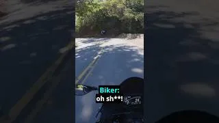 Thumbnail: A Beginner Rider Went Down...