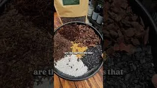 Thumbnail: TFL Indoor Plant Potting Mix 🌿