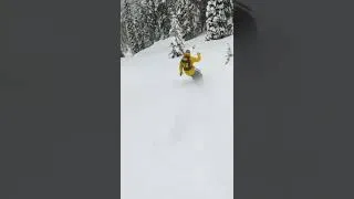 Thumbnail: Dreamy pow line at its finest