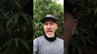 Thumbnail: Let’s Grow The YouTube Running Community Together In 2021
