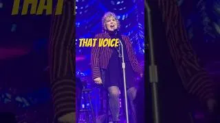 Thumbnail: Ann Wilson – “Dog & Butterfly” (Live) 🦋 #Shorts