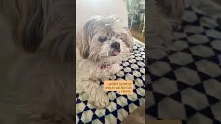 Thumbnail: Leila’s got something to say…