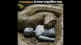 Thumbnail: Titanoboa Was Terrifying 😰