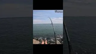 Thumbnail: New Jersey Summertime Fishing!