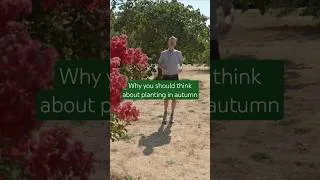 Thumbnail: How planting in autumn can help your garden in extreme heat and drought 🌱