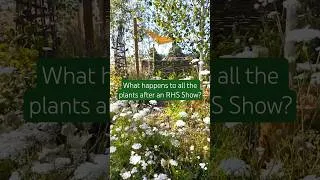 Thumbnail: Where do plants go after an RHS Flower Show? 🌿