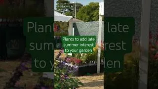 Thumbnail: Does your garden look tired in late summer? Try adding these plants 🌞