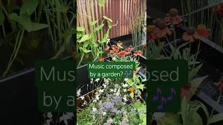 Thumbnail: Sound on! Listen to music made by plants at RHS Sandringham Flower Show 🎶🌿
