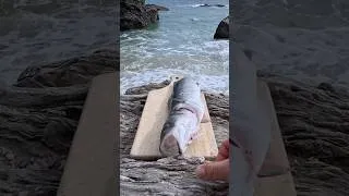 Thumbnail: Fish Catch and Cook