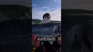 Thumbnail: 2 Day Solo Camping Adventure