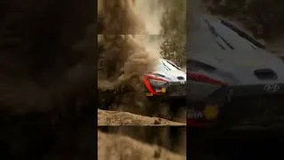 Thumbnail: Safari Rally HYPE | Either On or Off