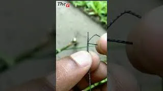 Thumbnail: How to make bird trap shortcut
