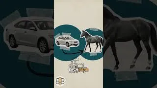 Thumbnail: Goodbye cars, hello horses #california #newsom #satire