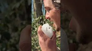 Thumbnail: Who needs counseling?🏕️🏔️#hiking #nature #adventure #camping #backpacking #therapy