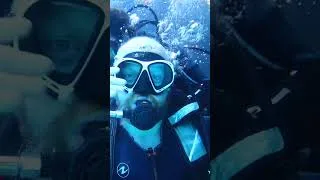 Thumbnail: Diving in the Red Sea #adventure #dive #fish #sea #holiday ay