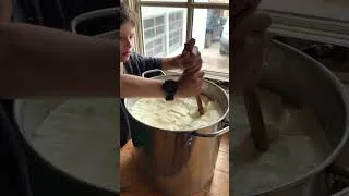 Thumbnail: Gouda cheese 🌞