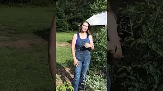 Thumbnail: May vs July in the garden. Can you relate?