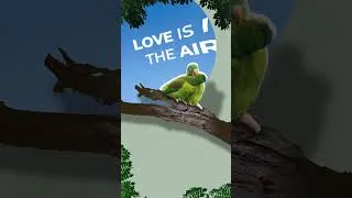 Thumbnail: Happy Valentine's Day! #Birds #BirdsLover #Love