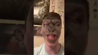 Thumbnail: Just monkeying around!! #awesome #funny #monkey #monkeys