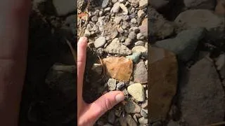 Thumbnail: BIG BLADE FOUND!! #ancientrelics #arrowheadhunting #stoneage #OhioRiver#archaeology