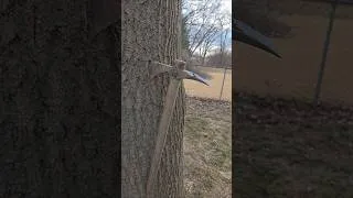 Thumbnail: HAWK TIME! #Tomahawk