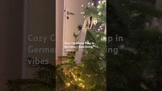 Thumbnail: Click the link to watch the full vlog. #cozy #christmasdecor #lifeingermany #slowliving #silentvlog