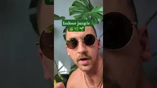 Thumbnail: Indoor jungle 🪴🌿🌱 #houseplants #plants #plantssparkjoy #monstera #plantlife #indoorplants #jungle
