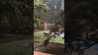 Thumbnail: Just a little rain ♥️