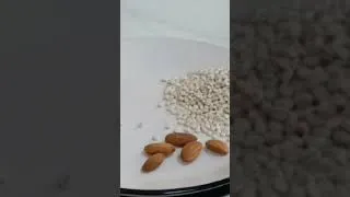 Thumbnail: TALBINA Premix Powder Recipe.🌾 Homemade TALBINA Premix Powder in minutes! Healthy, creamy drink.