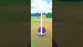 Thumbnail: catching flittle