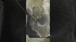 Thumbnail: This Car Floor Mat Was Completely ABUSED...