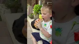 Thumbnail: More toddler meal ideas 😂 #pickyeating #toddlers