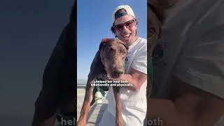 Thumbnail: 97-Pound Doberman Gets A Second Chance At Life | The Dodo