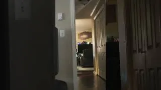 Thumbnail: When Lord X Forgot to Close the Door