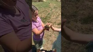 Thumbnail: Kids caught a large Toad in the Field today. This guy is chirpy 😂 #toad #outdoors #kidsoutdoors