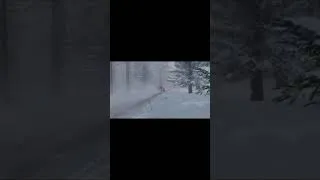Thumbnail: DIRT RALLY 2.0 | FLAT OUT | THEEDD #dirt #rally #fyp #gaming #wrc