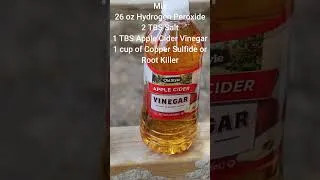 Thumbnail: How to rust corrugated metal - The End Grain Workshop #sawstop #woodworking #how #diy