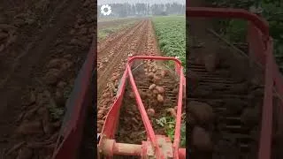 Thumbnail: Agriculture Technology #shorts #agriculturetechnology #shortvideo #short #shortsviral