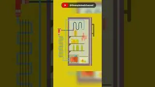 Thumbnail: How does a refrigerator work #shorts #refrigerator