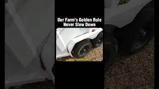 Thumbnail: Our Farm’s Golden Rule 🚜 #shortvideo #viralshorts #thefarm #farmlife