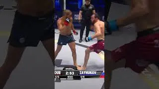 Thumbnail: Makkasharip Zaynukov's Jab #mma #mmabreakdown #jab