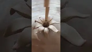 Thumbnail: Watch the Clay Petals Dance!