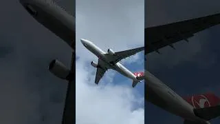 Thumbnail: Turkish airlines A330-200 with PW engines departing Brussels airport to Istanbul IST 🇹🇷
