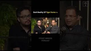 Thumbnail: The Reality of Tiger Frams?