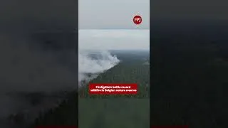 Thumbnail: Record Wildfire Rages Through Belgian Nature Reserve, Villages Evacuated