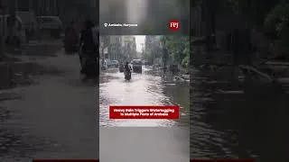 Thumbnail: Haryana: Several Parts of Ambala Waterlogged After Heavy Rain
